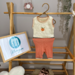 Şeftali Nakışlı Kız Bebek İkili Takım
